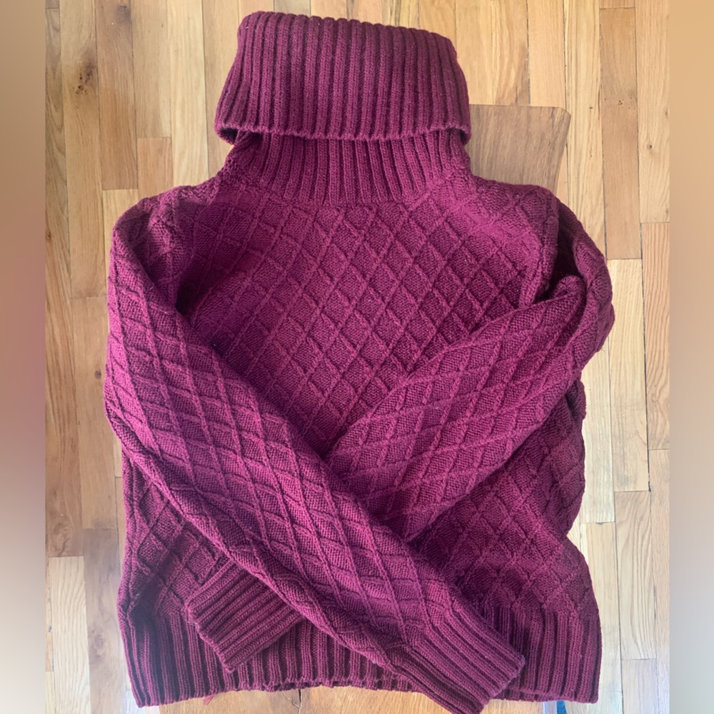 Aigle turtleneck sweater - 100% wool